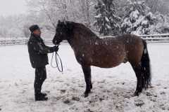 IMG-20251122-WA0015