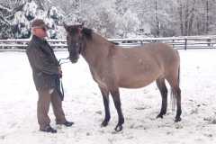 IMG-20251122-WA0017
