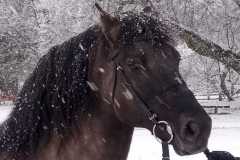 IMG-20251122-WA0018