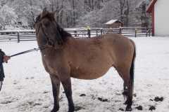 IMG-20251122-WA0019