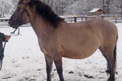 IMG-20251122-WA0020