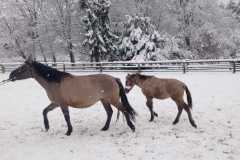 IMG-20251122-WA0022